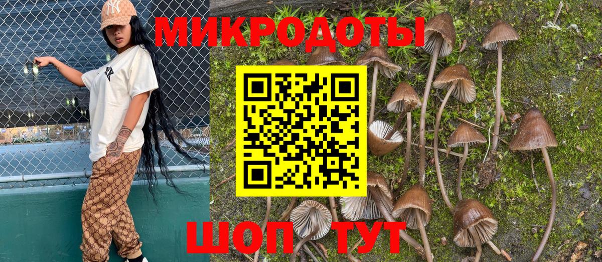 Магнитогорск  продажа наркотиков  Псилоцибиновые грибы Psilocybe  Вход с VPN  Галлюциногенные грибы Psilocybe 