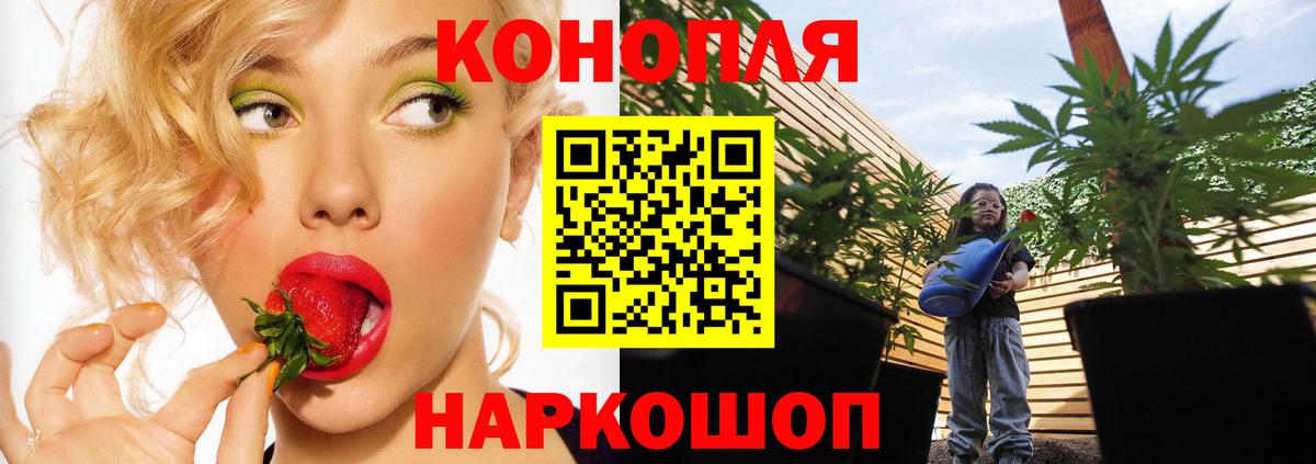 Шишки марихуана конопля Магнитогорск